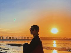 -宝安西湾红树林湿地公园