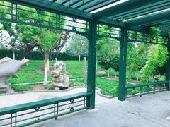 -西海子公园