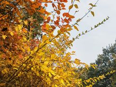 -北京西山国家森林公园