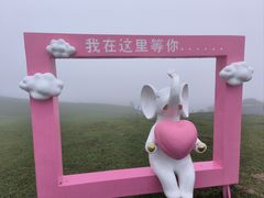 -大姆山草场