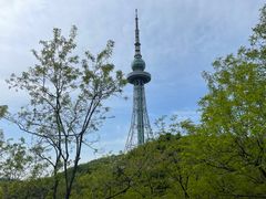 -青岛电视塔