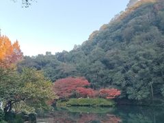 -西湖游船