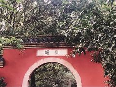 -灵谷景区