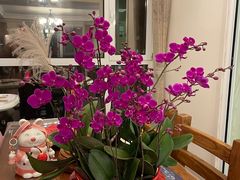 -东方鼎信农副产品交易中心