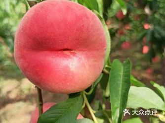 每年都会来此回购好多次，老夫妻俩人特别实在