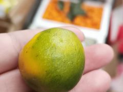 -堤口果品批发市场