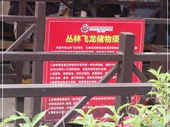 -济南方特东方神画