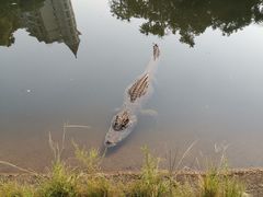-三水森林公园