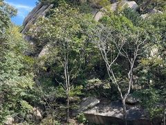 -六里坪国家森林公园