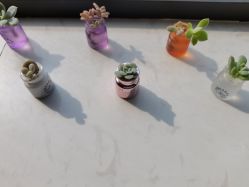 -尚艺造型.剪烫染.接发