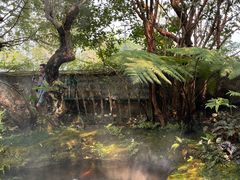 -Chom Cafe and Restaurant