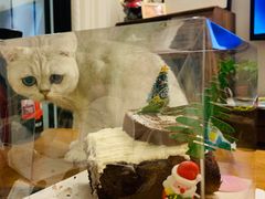 -你好独角兽·蛋糕甜品