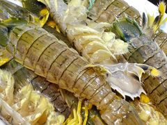 富贵虾姑-凯华海鲜火锅·传承三十六年