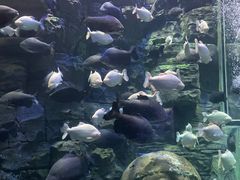 -成都浩海立方海洋公园