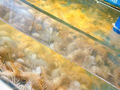 -鲜鲜·鲅鱼圈海鲜(于洪店)