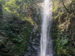 -莫里热带雨林景区