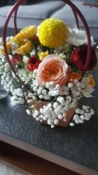 -千禧果月子会所(郑州东站店)