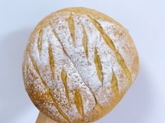 -七叔是岛民(花基新村店)