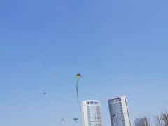 -天鹅湖体育公园