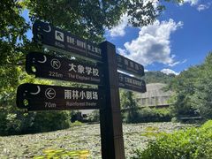 -野象谷景区