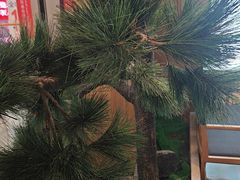 -小菜园新徽菜(无锡宜家荟聚中心店)