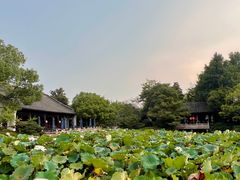 就餐环境-杭州西子湖四季酒店·金沙厅