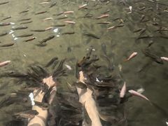 -溧阳天目湖天沐温泉