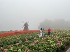 -广州市石门国家森林公园