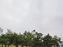 -小麦岛公园