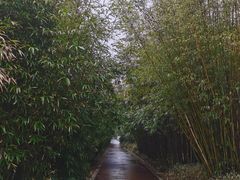 -武汉园博园(武汉自然博物馆)