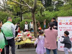 -上海市白玉兰幼儿园