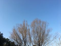 -塔斯提抓饭(东城汇店)
