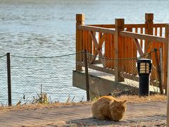 -华东政法大学(松江校区)