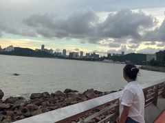 -野狸岛