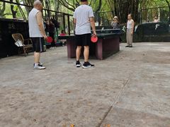 -晓港公园