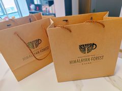 -喜马拉雅森HIMALAYAN FOREST