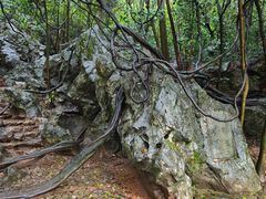 -杭州西湖风景名胜区-三生石
