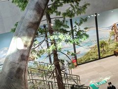 -湖南省地质博物馆