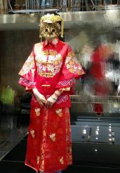 -VV新娘婚纱礼服体验馆