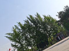 -赵州桥景区