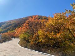 -建平天秀山森林公园