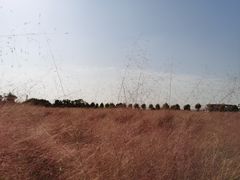-映月湖中央公园