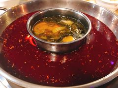 -蜀滋香鲜鱼美蛙火锅(339店)