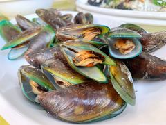 白灼青口-锐记美食店·现捞海鲜(闸坡店)