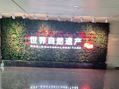 -张家界荷花国际机场