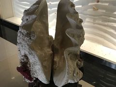 -青岛贝壳博物馆