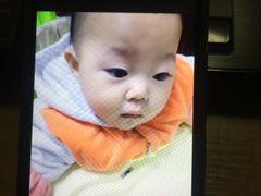 -新丰蛋糕(百花路总店)