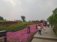 -天府芙蓉园