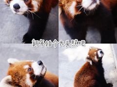 -泉州海丝野生动物世界