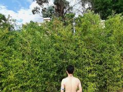 -青鱼湾水上乐园